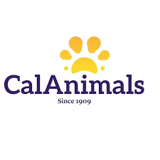 VCAP - Veterinary Care Accessibility Project